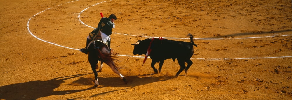 Bullfighter taunting bull in ring Marbella Costa Del Sol Malaga Province Andalusia Spain Canvas Art - Panoramic Images (36 x 12)