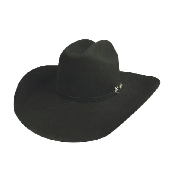 Bullhide PBR Felt Hats PBR Outlaw 8X Cowboy Black Hat in Size 7 5/8