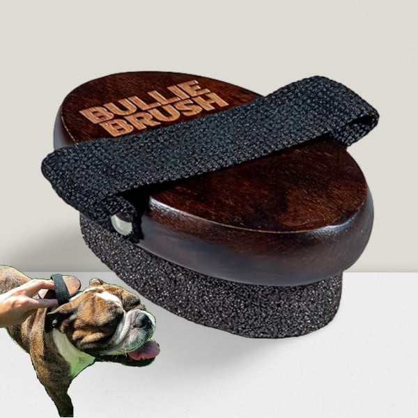 BullieBrush The Ultimate Grooming Tool for Bulldogs and Pitbulls