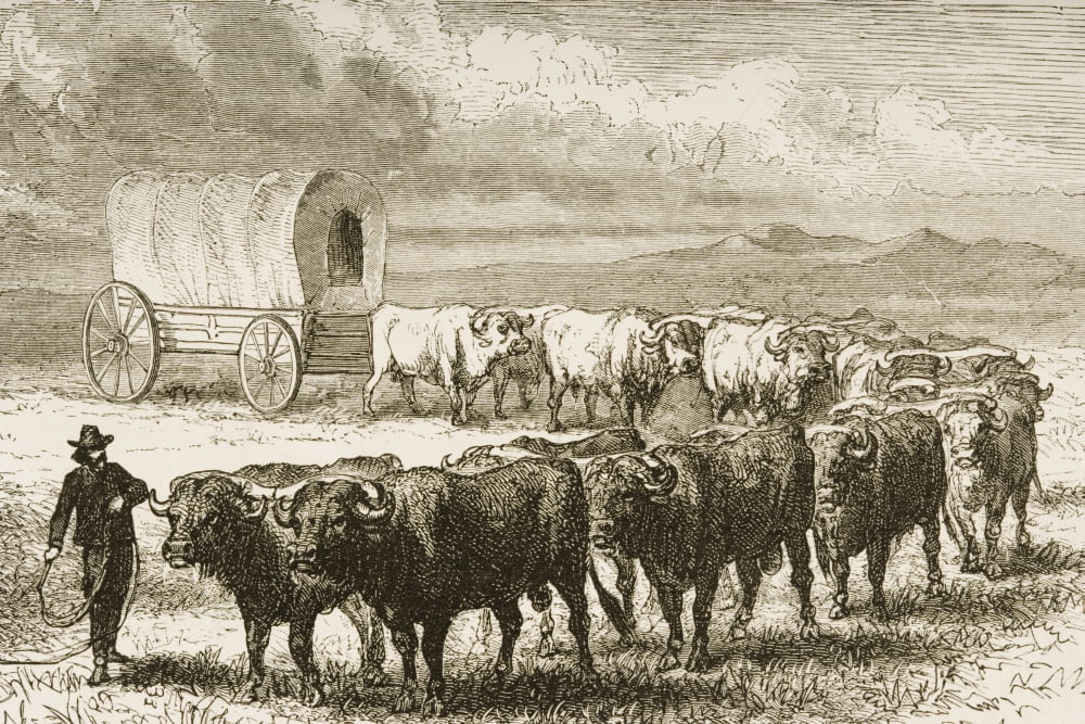 Bullock Wagon Crossing The Great Plains From American Pictures Drawn With Pen And Pencil By Rev Samuel Manning Circa 1880 Canvas Art - Ken Welsh Design Pics (17 x 11)