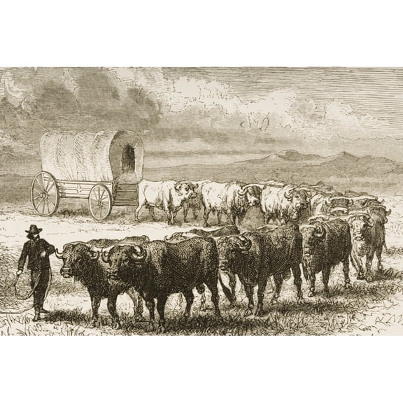 Bullock Wagon Crossing The Great Plains From American Pictures Drawn With Pen And Pencil By Rev Samuel Manning Circa 18