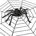 thumbnail image 1 of Bullpiano Halloween Spider Decorations, Realistic Hairy Spiders, Scary Spider Props for Indoor, Outdoor and Yard Creepy Decor, 1 of 9