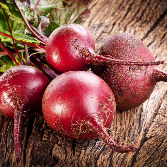 Bulls Blood Beet Seeds - 4 Oz - Non-GMO, Heirloom - Vegetable Garden, Microgreens Seeds