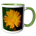 thumbnail image 1 of 3drose, Bulls Eyes - Flower, Asteraceae, Birth Flower, Calendula, Flowers, Marigold, Yellow, 11oz Two-tone Green Mug, 1 of 6