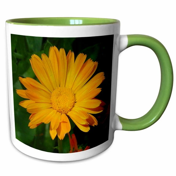 3drose, Bulls Eyes - Flower, Asteraceae, Birth Flower, Calendula, Flowers, Marigold, Yellow, 11oz Two-tone Green Mug