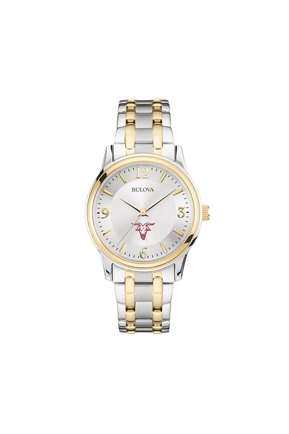 Silver/Gold Worcester Polytechnic Institute Engineers Classic Two-Tone Round Watch