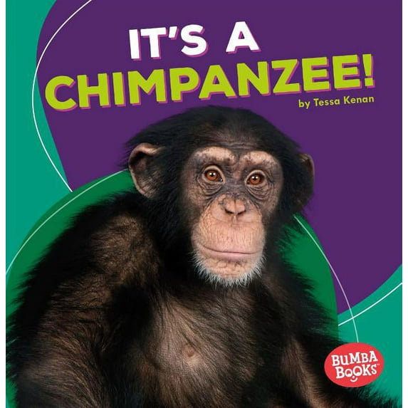 Bumba Books (R) -- Rain Forest Animals: It's a Chimpanzee! (Paperback)