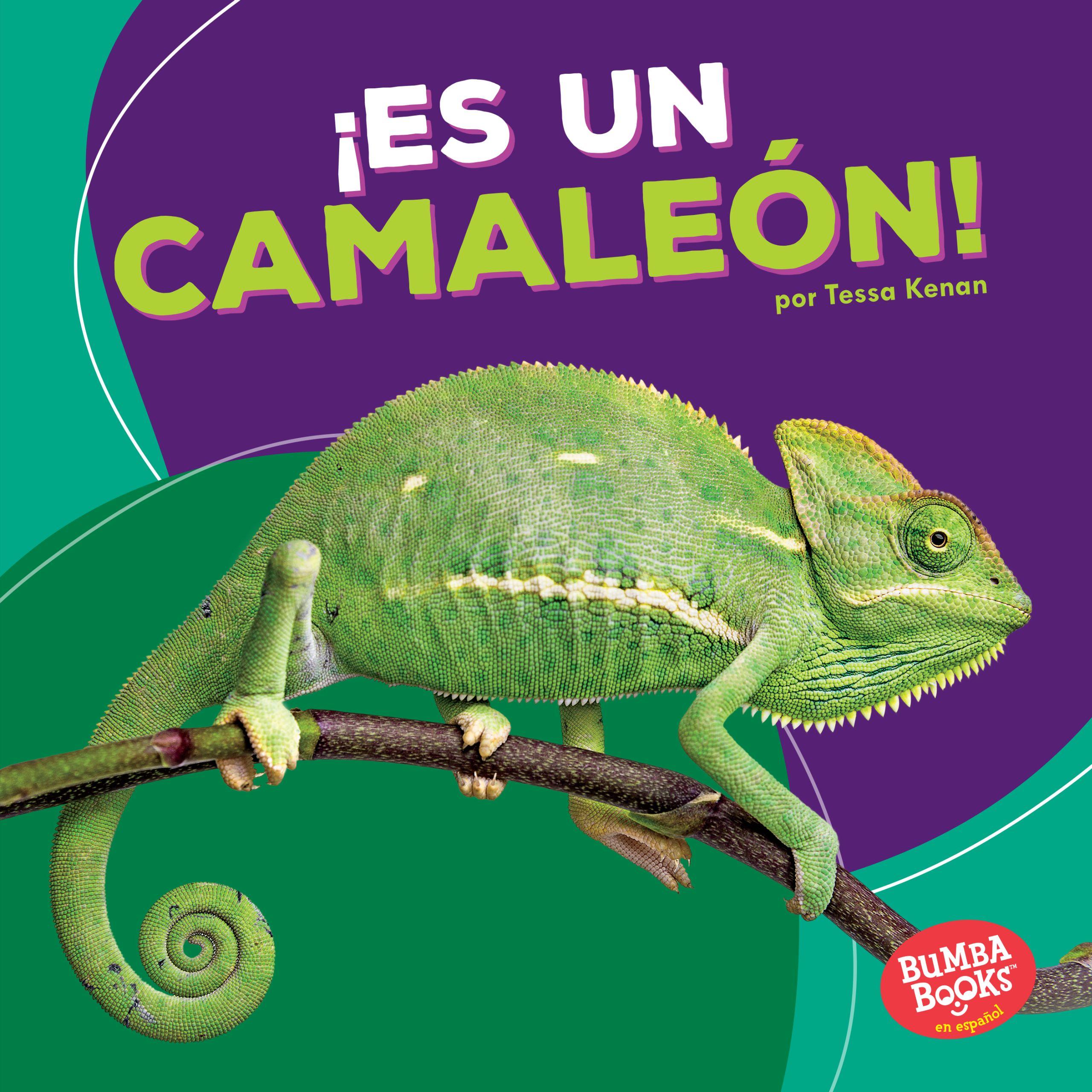 Bumba Books (R) en Español -- Animales de la Selva Tropical: ¡es Un Camaleón! (It's a Chameleon!) (Hardcover) - image 1 of 1