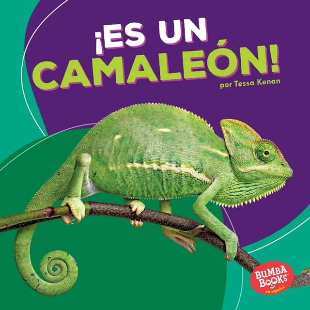 Bumba Books (R) en Español -- Animales de la Selva Tropical: ¡es Un Camaleón! (It's a Chameleon!) (Hardcover)
