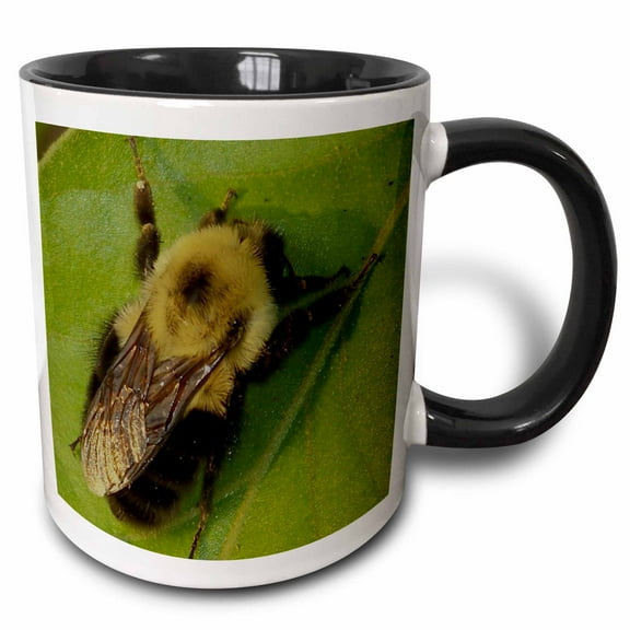 3drose, Bumble Bee, 11oz Two-tone Black Mug