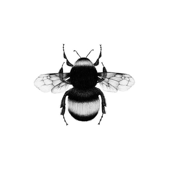 Bumblebee Drawing Print Wall Art, Modern Wall Decor For Living Room Bedroom, 24x36 UNFRAMED