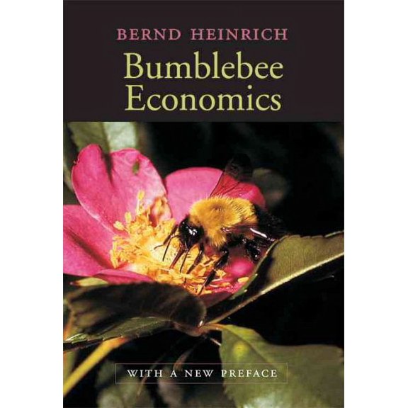 Bumblebee Economics: With a New Preface (Paperback)