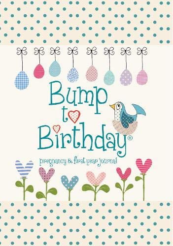 Bump to Birthday, Pregnancy & First Year Journal Helen from you to me,Stephens (Hardcover)