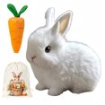 thumbnail image 1 of 2025 NEW Bunby - Easter Realistic white Bunny Plush Toy, Lifelike Soft Stuffed Animal for Kids & Adults, Easter Basket Gift & Spring Home Decor, 1 of 6