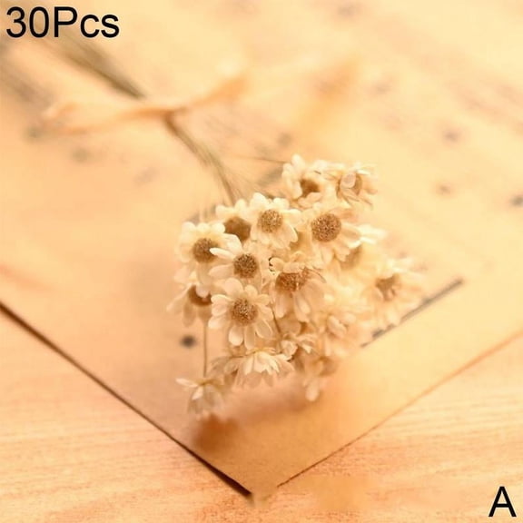 Bunch Dried Daisy Flowers Mini Daisies Floral Bouquet G1J4 S6I7 W5I6