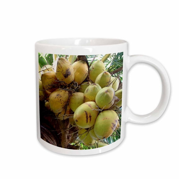 3drose, Bunch of Coconuts, 11oz Mug