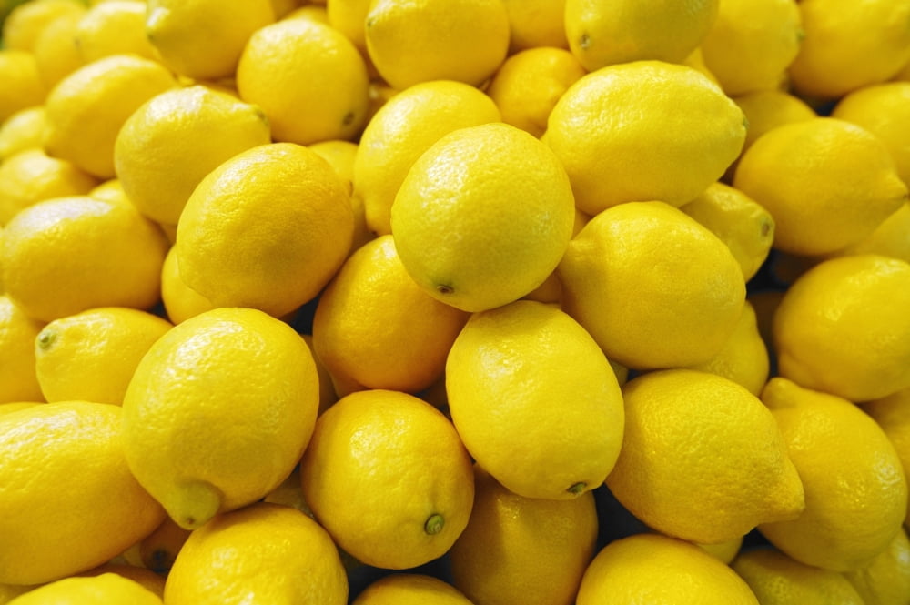 Bunch Of Lemons Canvas Art - Don Hammond Design Pics (17 x 11)