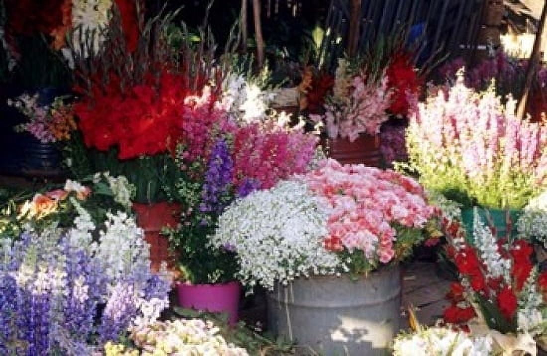 Bunch of Flowers at the Market Madagascar Canvas Art - Daisy Gilardini DanitaDelimont (18 x 12)