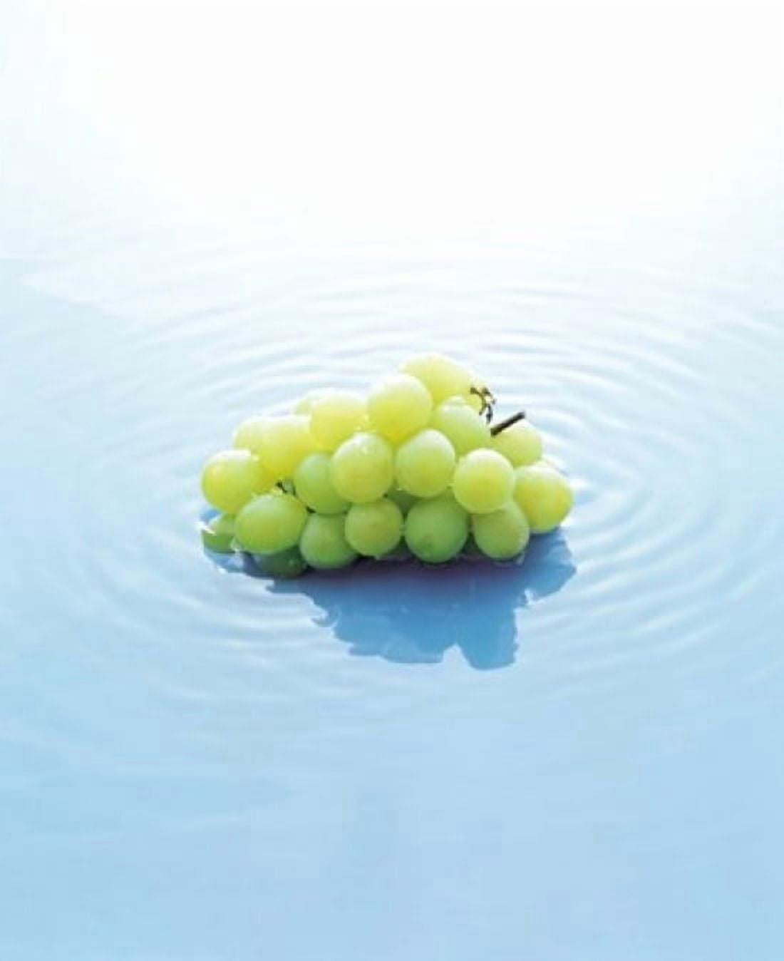Bunch of Grapes Floating On Water Canvas Art - Panoramic Images (20 x 24)