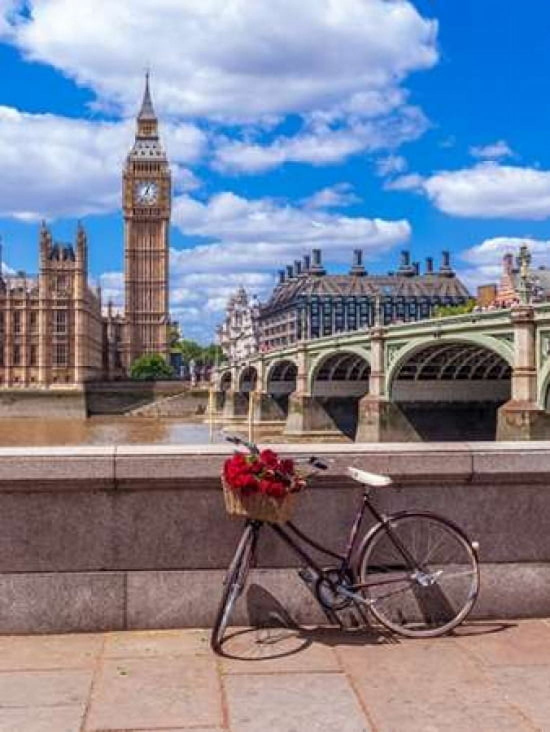 Bunch of Roses on a bicycle agaisnt Westminster Abby London UK Canvas Art - Assaf Frank (22 x 28)