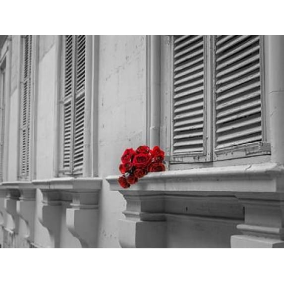 Bunch of roses on window of a house in Mdina, Malta Poster Print by Assaf Frank (18 x 24)
