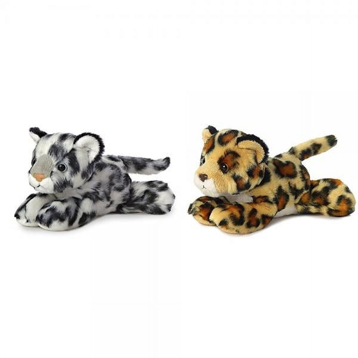 Bundle of 2 Aurora 7.5