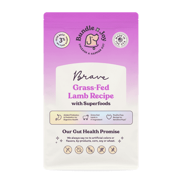 Bundle x Joy Brave Gut-Friendly Grass-Fed Lamb Flavor Dry Dog Food, 12 lb Bag