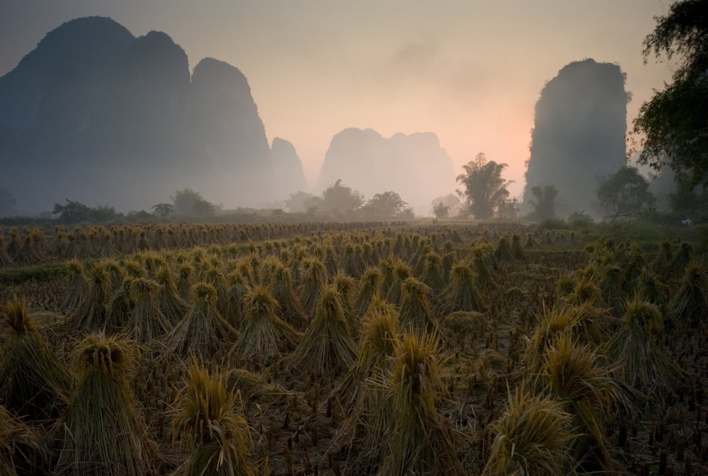 Bundles In Mountain Area Yangshuo China Canvas Art - Keith Levit  Design Pics (20 x 13)