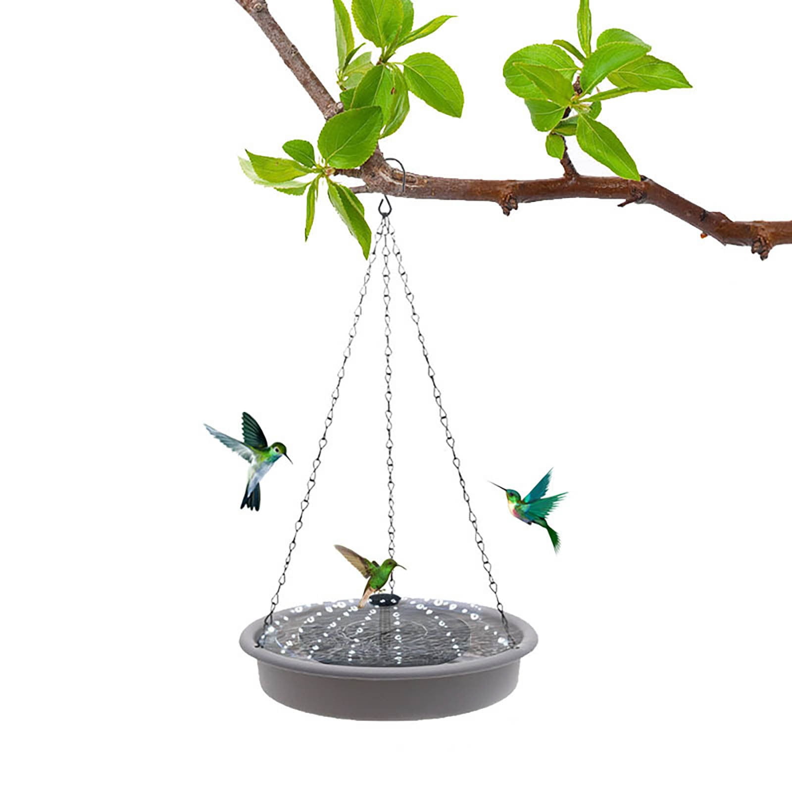 Bungee Cord Squirrel Feeder Window For Viewing Feeders Squirrels