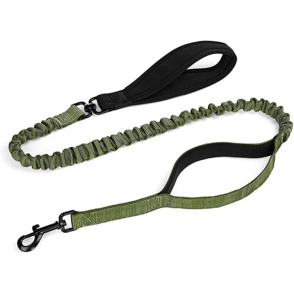 Bungee Dog Leash with Shock Absorption, Training Leash with 2 Padded Control Handles for Medium Large Dogs, 3-5FT(Green)