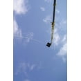 thumbnail image 1 of Bungee Notebook (Paperback), 1 of 1
