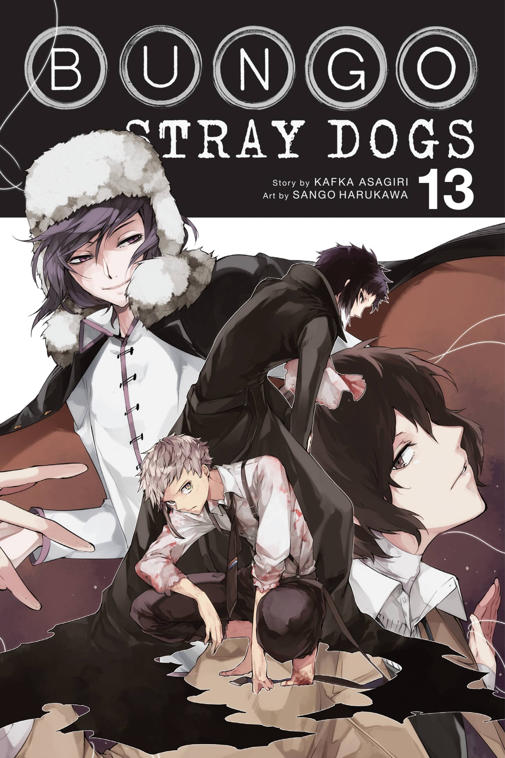 Bungo Stray Dogs: Bungo Stray Dogs, Vol. 13 (Series #13