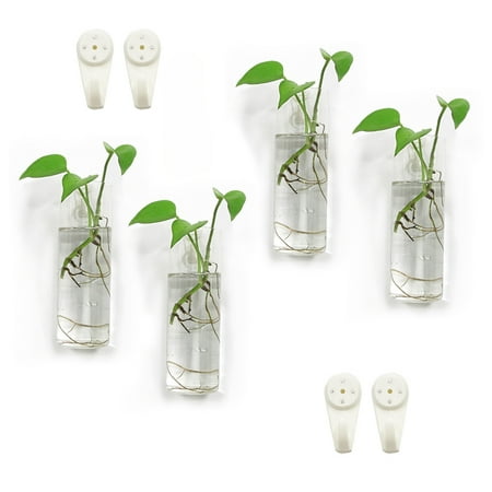 Bunhut Glass Plant Terrariums with Handmade Planters (4 Count)