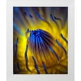 thumbnail image 1 of Bunjamin, Antonyus 20x24 White Modern Wood Framed Museum Art Print Titled - Blow Up, 1 of 4