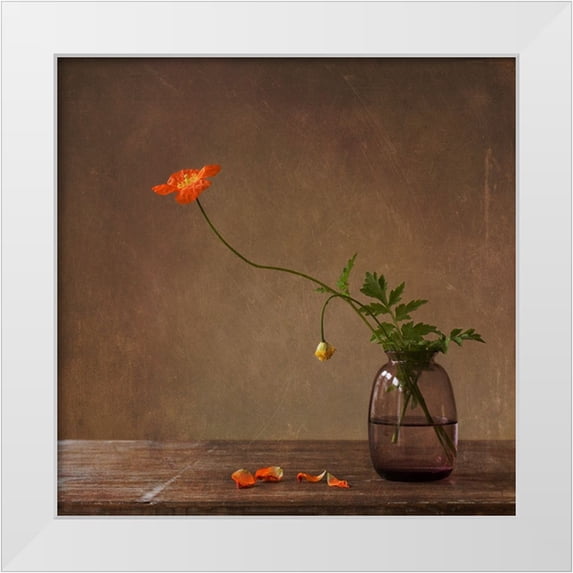 Bunkova, Galina 15x15 White Modern Wood Framed Museum Art Print Titled - A Story With Orange Poppies