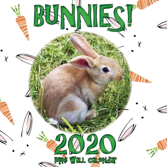 Bunnies! 2020 Mini Wall Calendar, (Paperback)