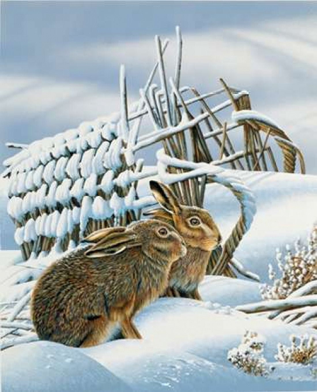 Bunnies in the snow Canvas Art - Jan Weenink (20 x 24)