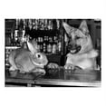 thumbnail image 1 of Bunny Bar, 1 of 1