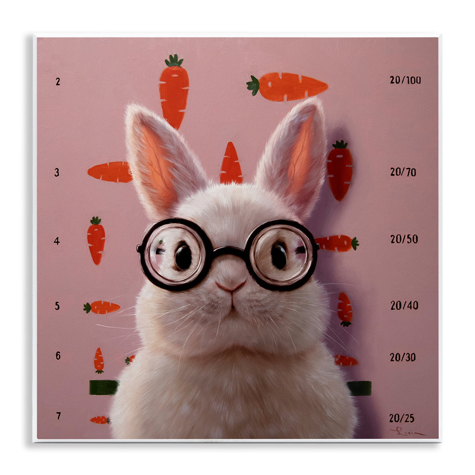 Bunny & Carrots Eye Exam Wall Plaque Art, design by Lucia Heffernan