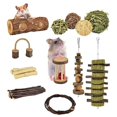 Bunny Chew Toys Set Twigs Grass Treats Rabbit Wood Blocks for Teeth