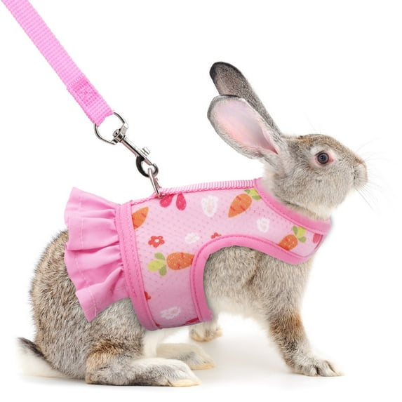 Bunny Harness - Rabbit Leash and Harness Set Rabbit Bunny Dress Walking Harness Cute Carrot Pattern Breathable Vest Harness for Rabbit Ferret Squirrel Guinea Pigs Piggies