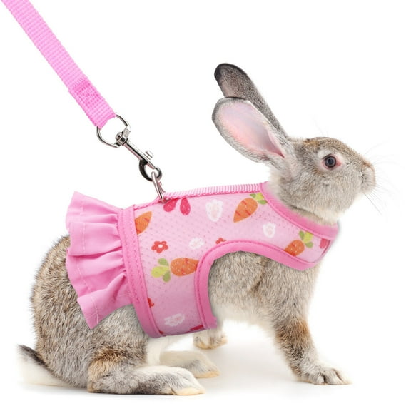 Bunny Harness - Rabbit Leash and Harness Set Rabbit Bunny Dress Walking Harness Cute Carrot Pattern Breathable Vest Harness for Rabbit Ferret Squirrel Guinea Pigs Piggies