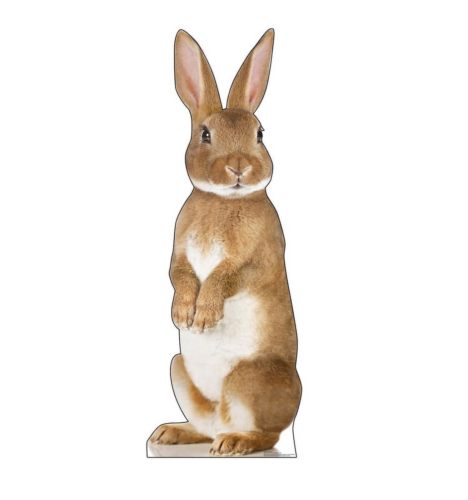 ADVANCED GRAPHICS Bunny Rabbit Cardboard Cutout