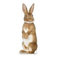 thumbnail image 1 of Bunny Rabbit Cardboard Cutout, 1 of 3