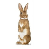 Bunny Rabbit Cardboard Cutout - Walmart.com