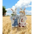 thumbnail image 1 of Bunny Rabbit Farmers Salt and Pepper Shakers 4.5in Gift, 1 of 4