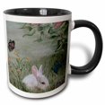 thumbnail image 1 of 3drose, Bunny Rabbit in Grass with Butterflies Flying Nearby, 11oz Two-tone Black Mug, 1 of 6