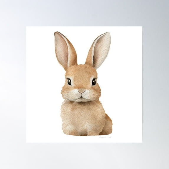 Bunny Rabbit Poster Wall Art, Modern Wall Decor For Living Room Bedroom, 24x24 UNFRAMED