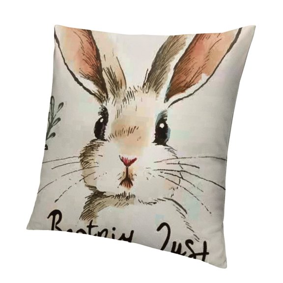 Bunny Rabbit Throw Pillow Covers-Bunny Gifts for Women, Funny Bunny Rabbit Lover Gifts Stuff Pillowcase Decor Home Bedroom Living Room Kids Room, Guess What It's Rabbit,