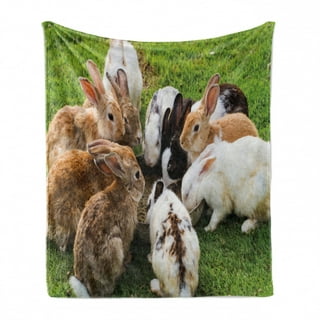 Bunny Fleece Blanket